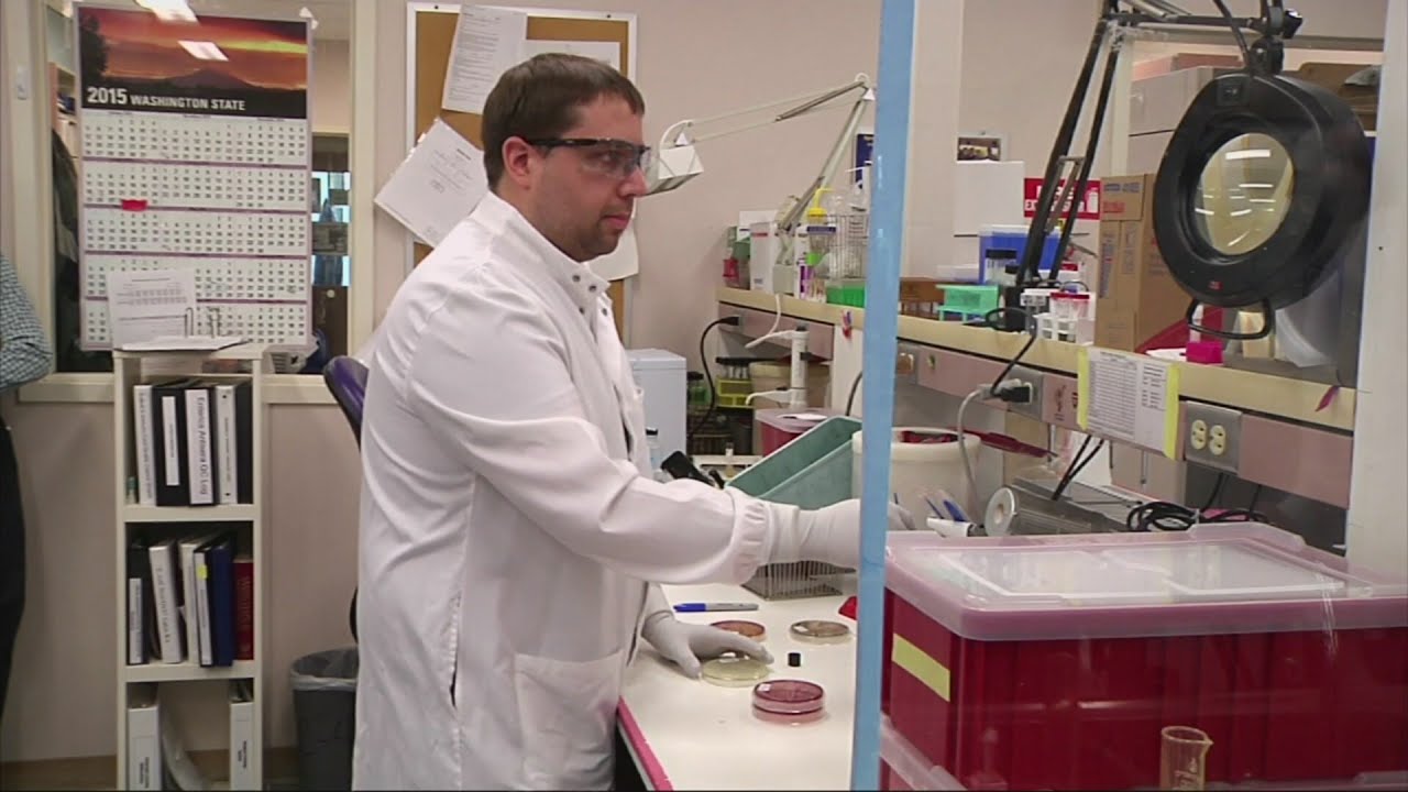 Dothan Road Diet aims to make it safer for drivers and pedestrians