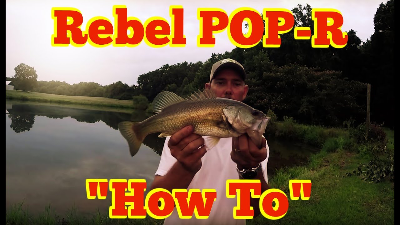 Rebel Pop-R  