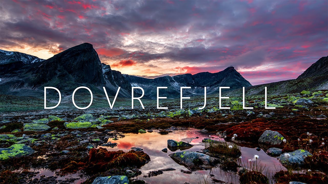 DOVREFJELL NATIONAL PARK, Norway - 4k UHD Time-lapse