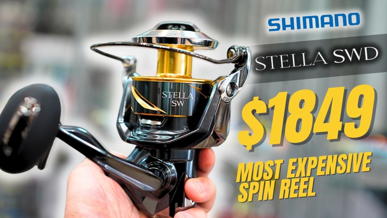 Shimano 25 STELLA SWD: первые впечатления