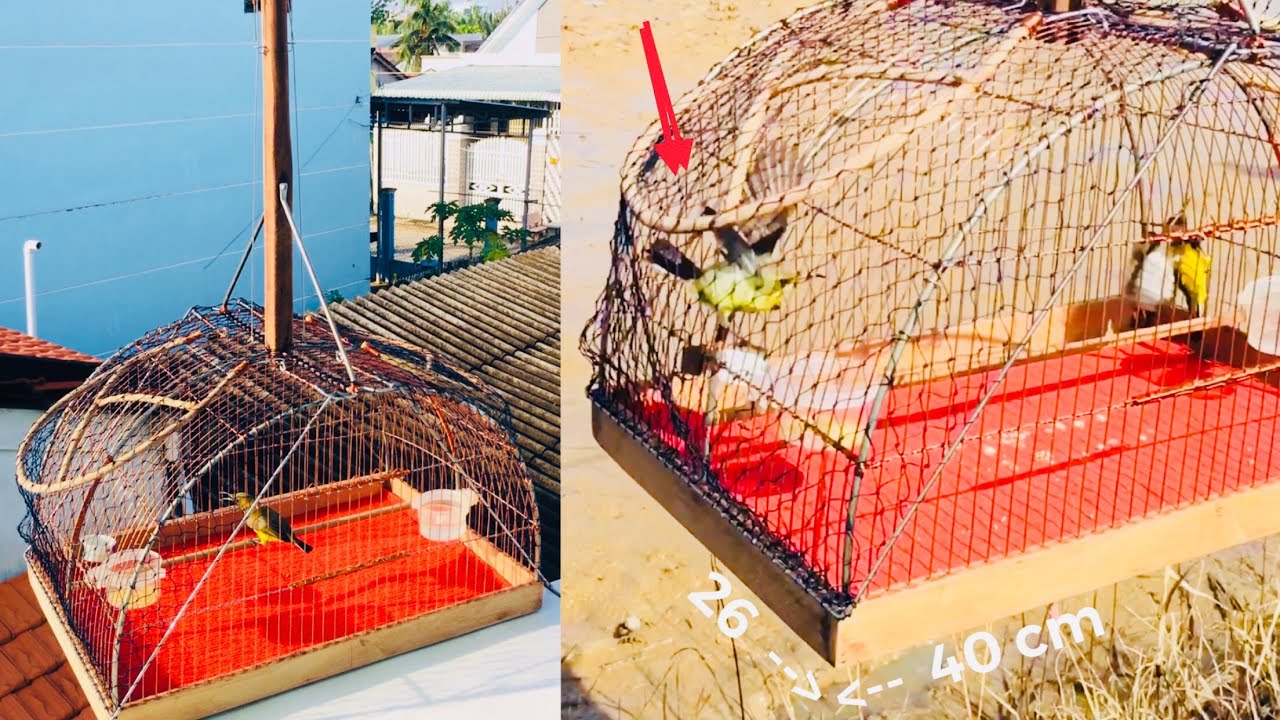 Hướng dẫn làm Lồng bẫy chim siêu nhạy - phiên bản Kim loại