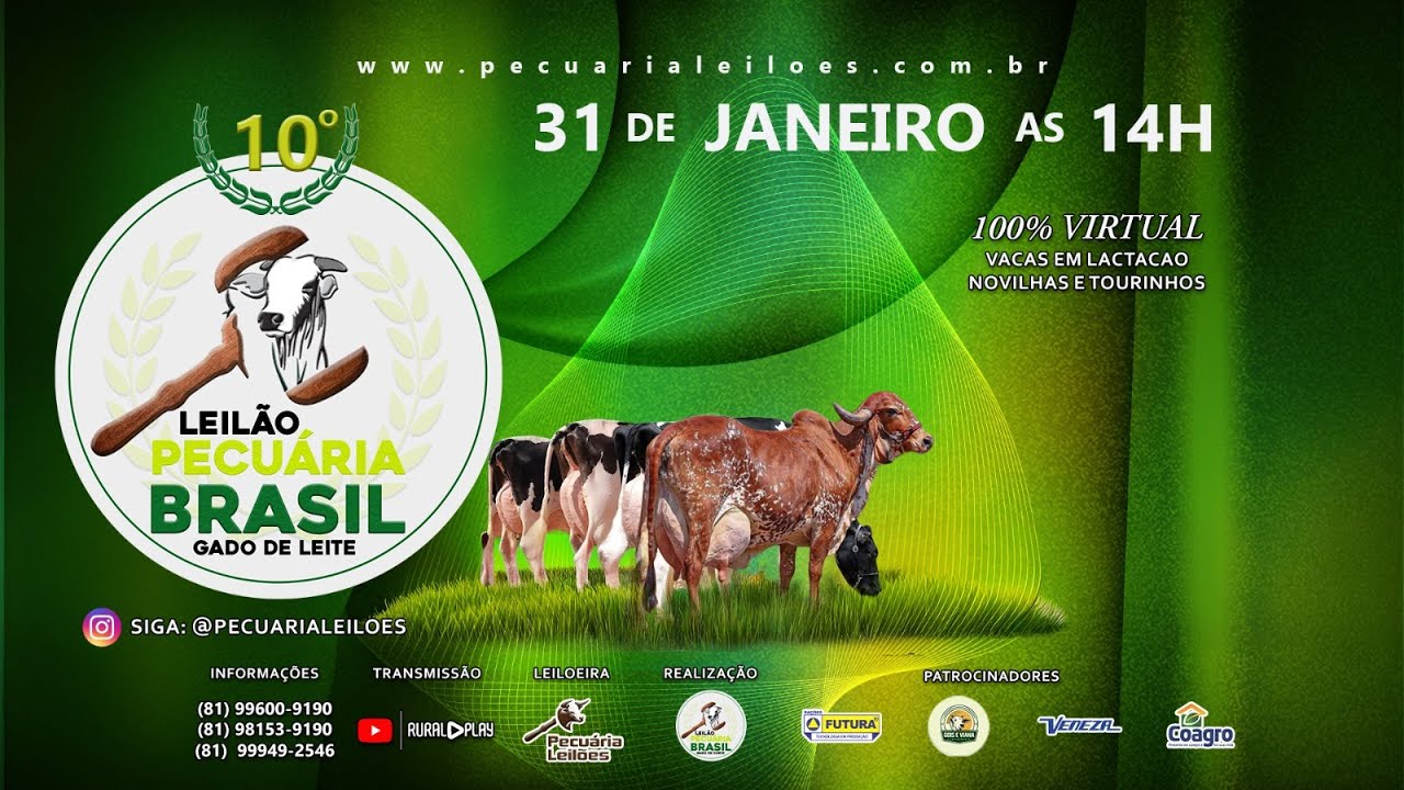 10° LEILÃO VIRTUAL PECUARIA BRASIL GADO DE LEITE - RECIFE/PE - RURAL PLAY