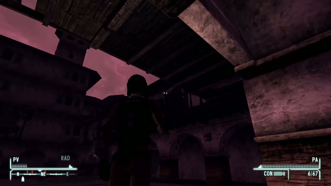 un personaje no tan listo en Fallout New Vegas parte 419