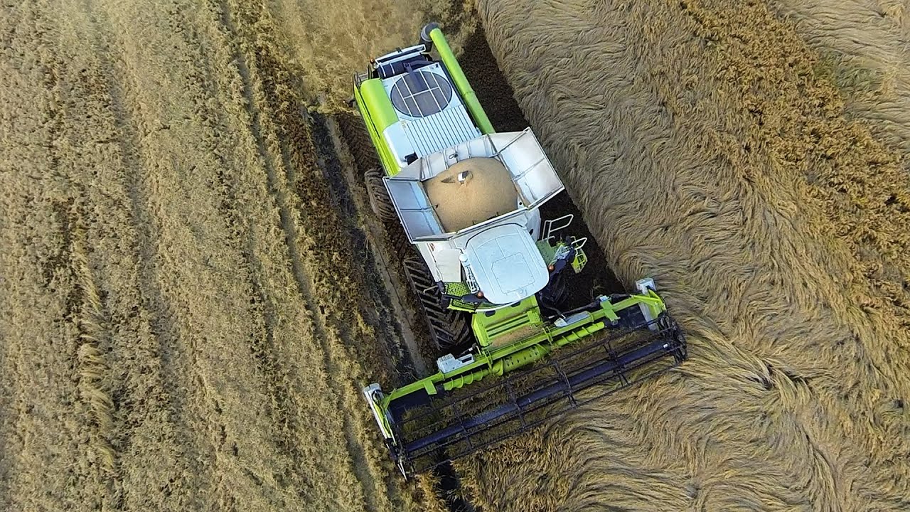 Nouvelle Lexion 760 Claas version Riz au travail en Camargue