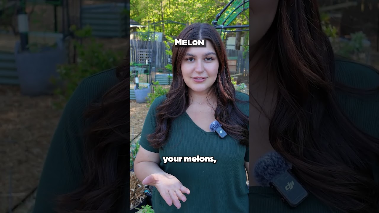 Sadzenie w kwietniu 🌱 #ogr&oacute;d #uprawiajwłasnążywność #couprawiać #upraważywności