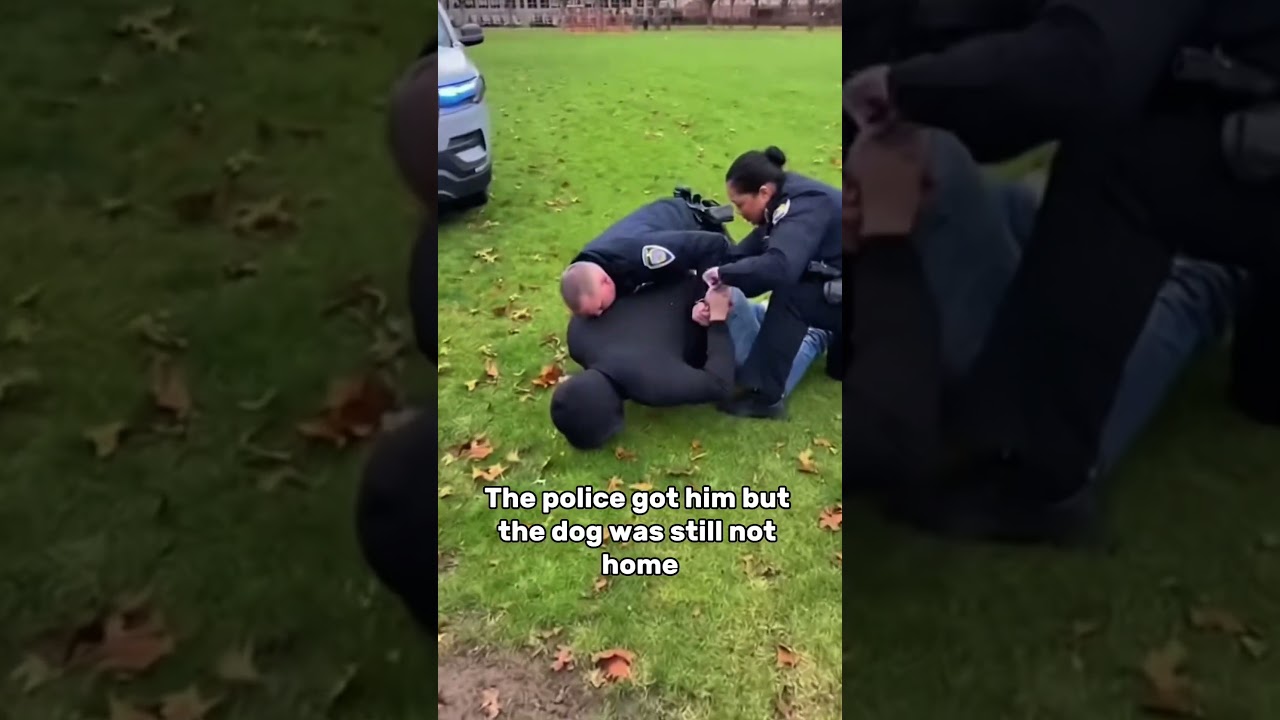 This Dog Jumped On My Train... To Escape A Thief