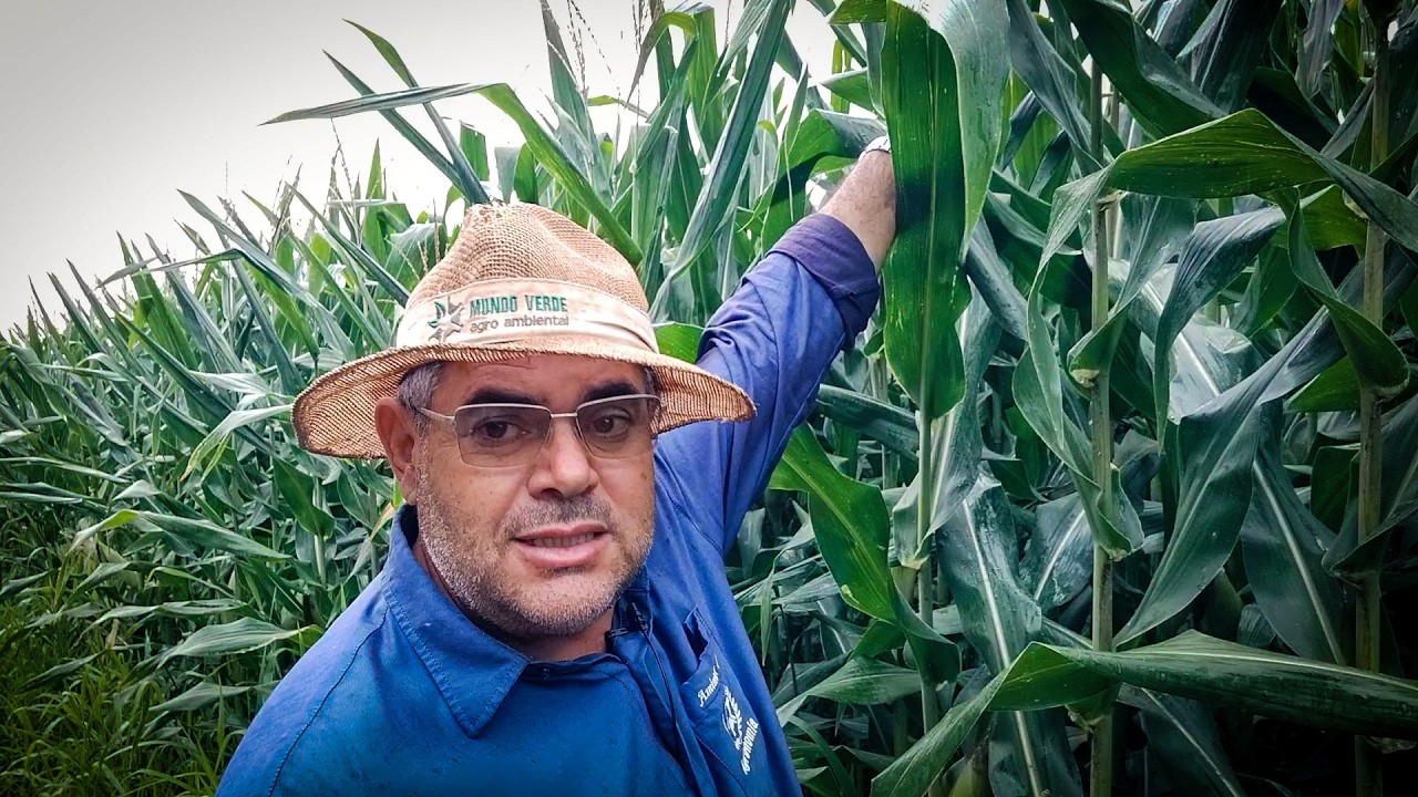 MAGNÉSIO ESTÁ TRAVANDO SUA PRODUTIVIDADE!
