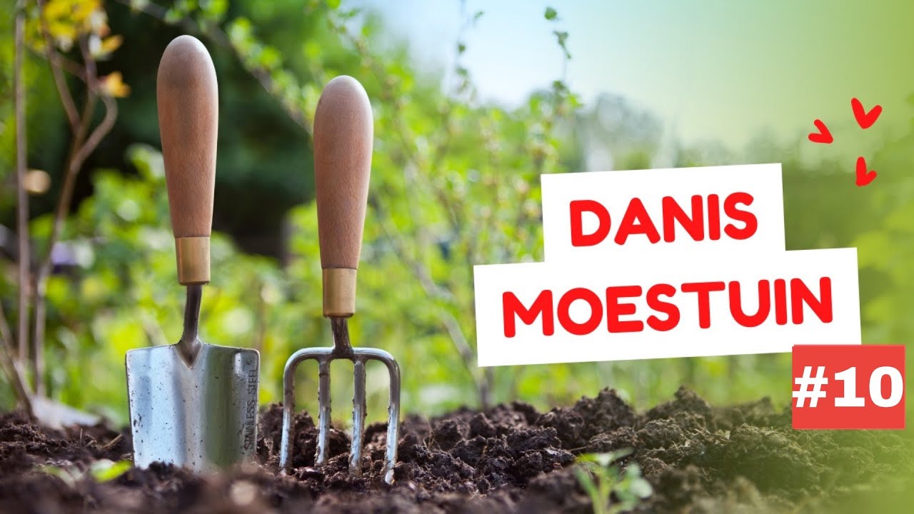 Danis moestuin #10, augustus 2022 - brandnetelgier, hoe maken en hoe gebruiken