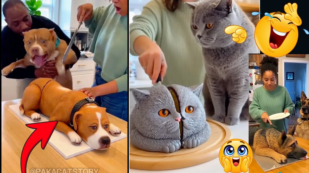 Реакция собак и кошек на разрезание торта 🤣 | Подборка забавных реакций домашних животных на торт