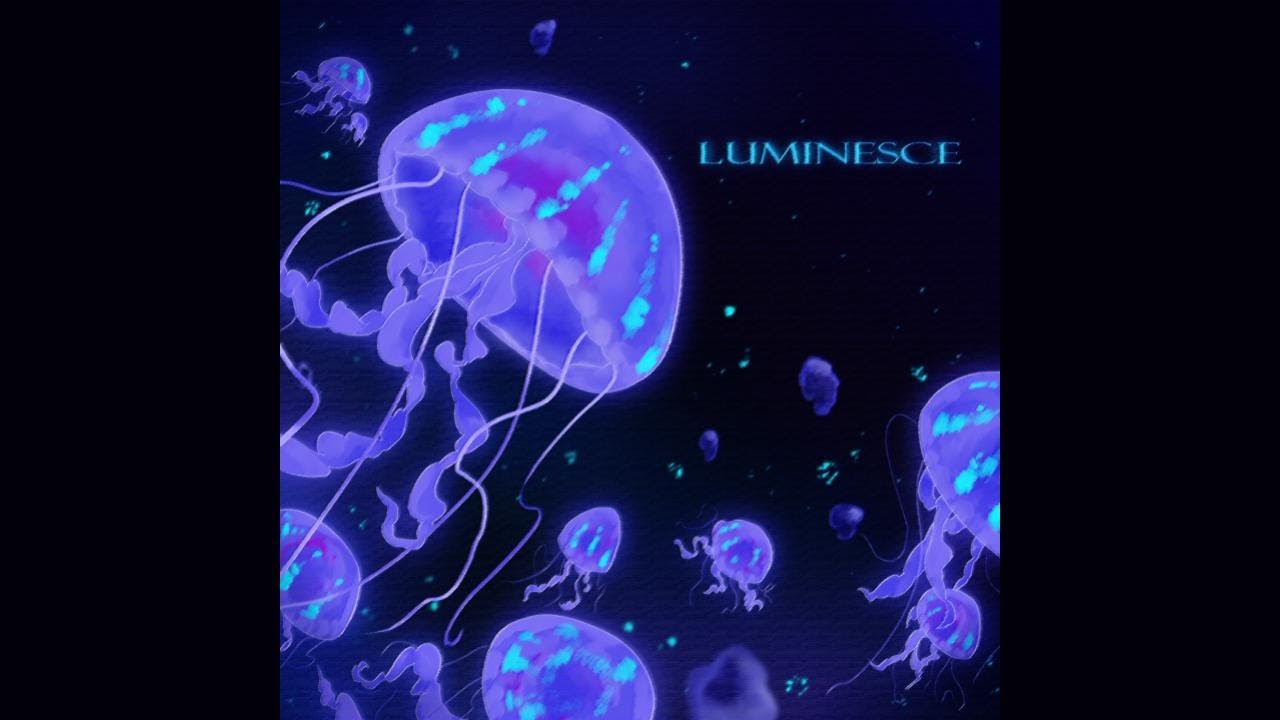 Evan Perry & Gavin Leeper - Luminesce (Music Video)