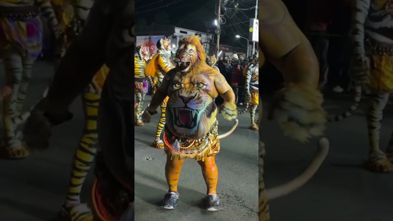 Pulikali 2025 🐯Thrissur #shorts #youtubeshorts #festival #onam #pulikali