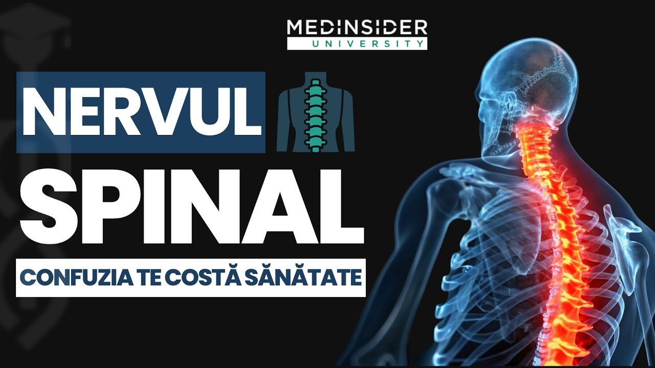 Nervul Spinal | Explicat pentru Admiterea la Medicină | Medinsider