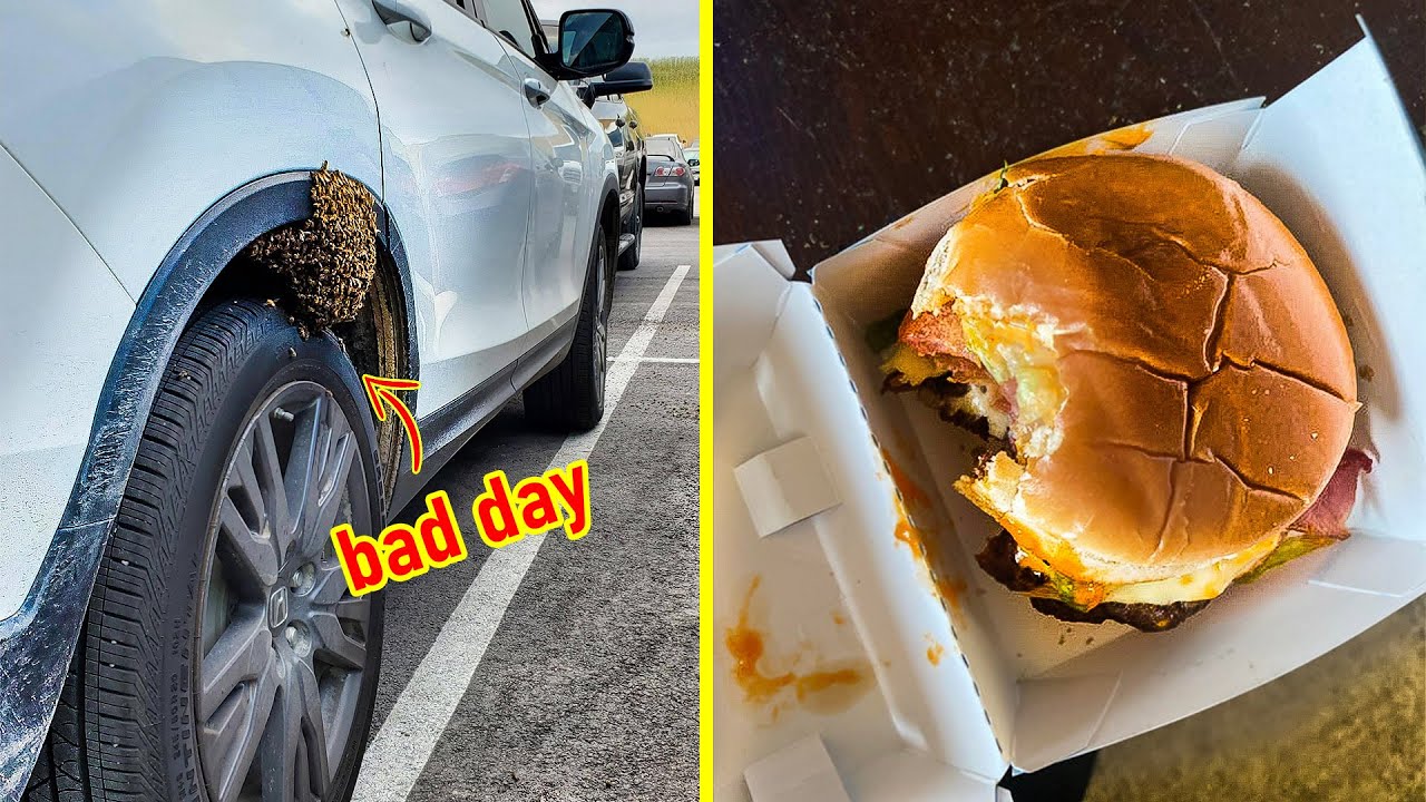 People Who Are Having A Worse Day Than You