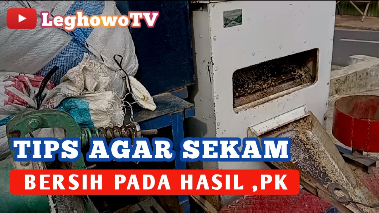KENALI PENYEBAB SEKAM,MERANG PADI IKUT KE HASIL PECAH KULIT ‼️ MESIN KUPAS PADI