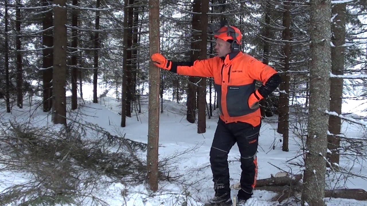 Metsolan Metsäkoulu 78, Top 4-6 vinkit hankintahakkaajalle.
