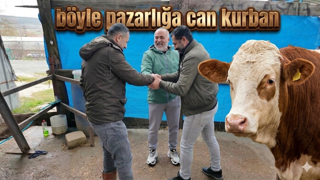 BEYOĞLUNDAN GELDİ ALDI GİTTİ / KURBANLIK PAZARLIĞI 2026