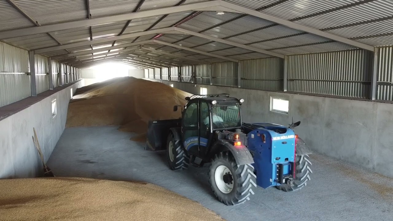 Wheat harvest 2023 stockpiling with UTB + NH LM 7.35