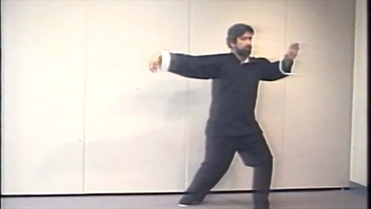 Complete 37 Yang Tai Chi Form - Front View