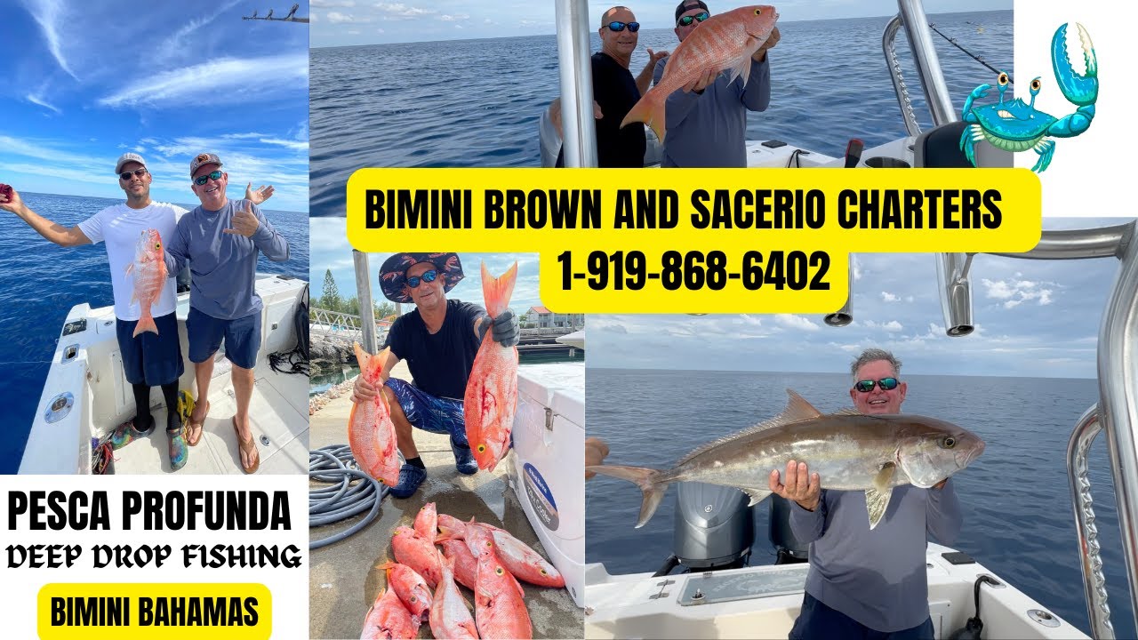 🎣ONLY IN 🇧🇸BAHAMAS