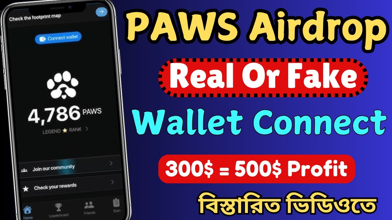 The FASTEST Way to Connect Your Paws bot Wallet and Start Earning!