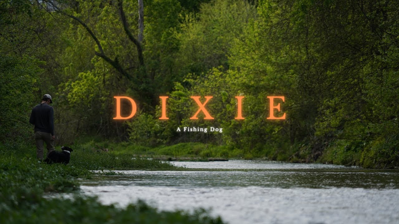 Dixie | A Dog and Fly Fishing | A Dog Story