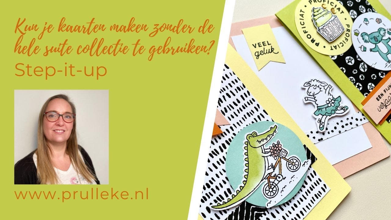 Kun je kaarten maken zonder de hele suite collectie te gebruiken? Step-it-up