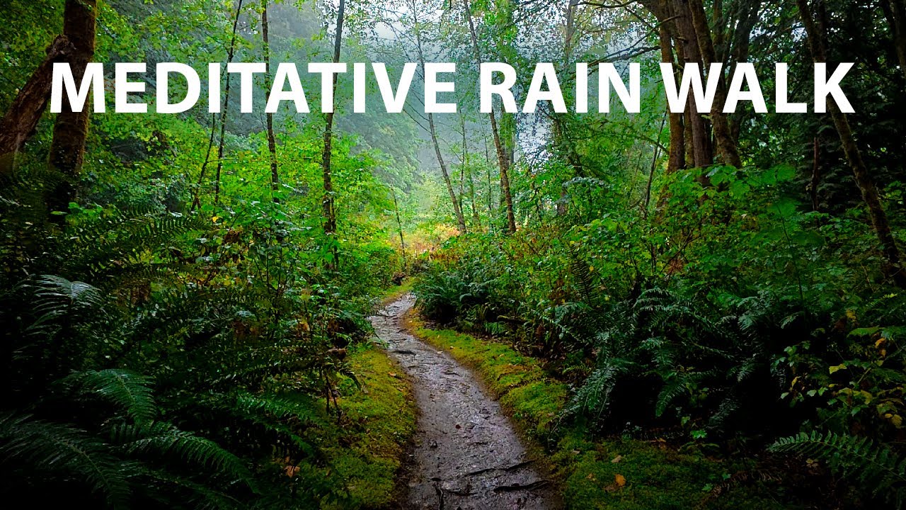 Meditative Rain Walk in a Lush Forest, Burnaby Mountain BC Canada