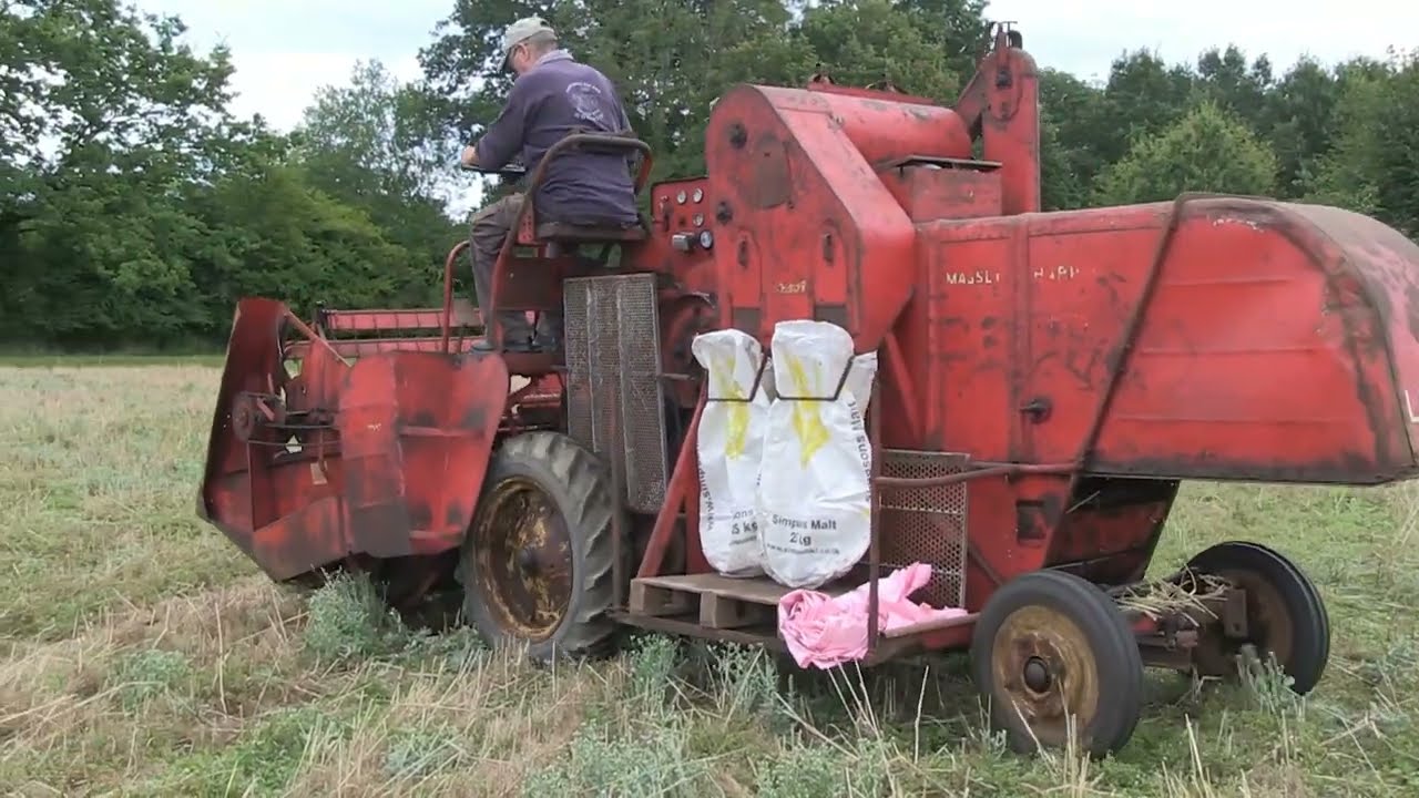 MASSEY FERGUSON 735 HARVESTING WHEAT