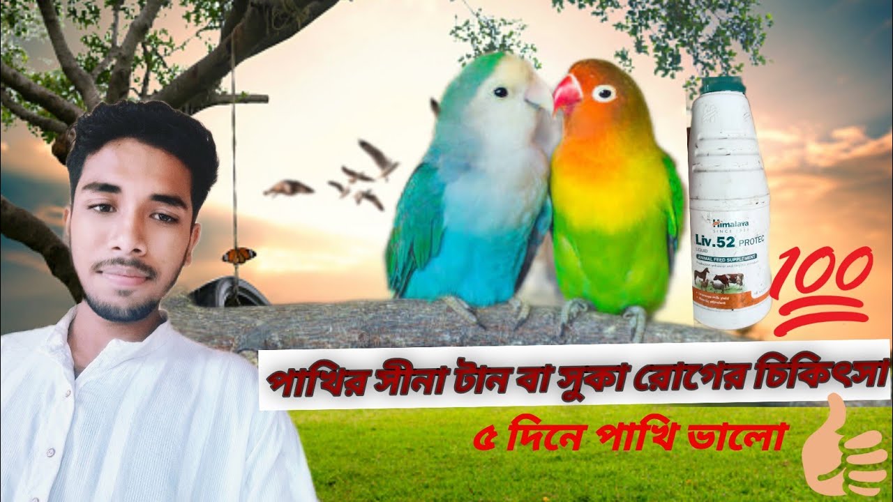 Birds Medicine And Treatment 2021// New Satup