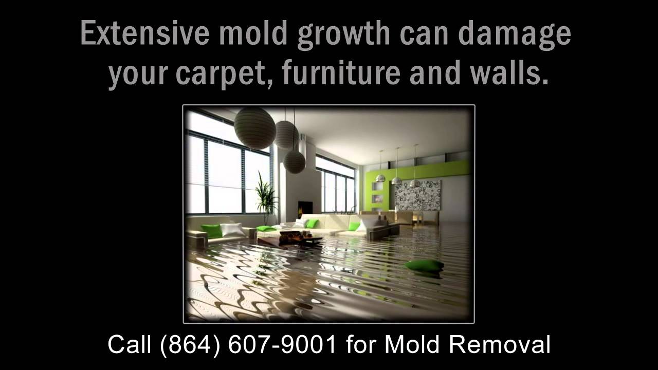 Mold Removal Greenville SC Dissects DIY Mold Elimination - AdvantaClean - (864) 607-9001