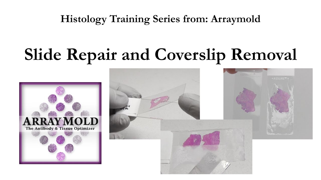 Slide Repair and Coverslip Removal