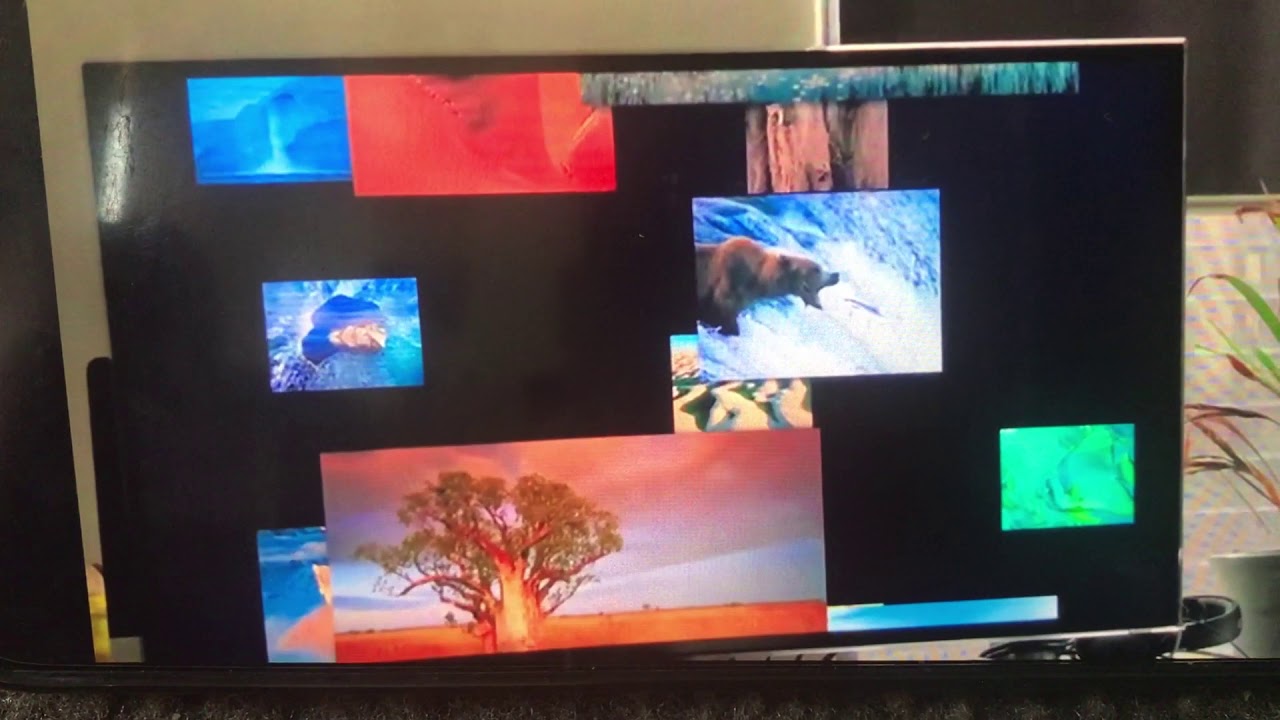 Apple TV screensaver that features National Geographic photos