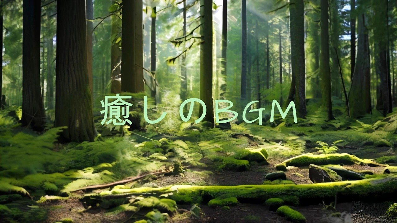 【癒しのBGM】｜穏やかな音楽 ｜作業用BGM｜リラックス｜睡眠｜