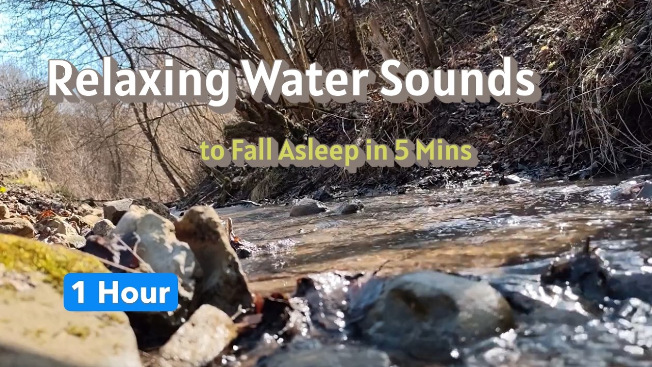 Live Nature - 1 Hour  of Close Up Water Flow Relaxing sound / Screensaver / Relax / Sleep / Ambience