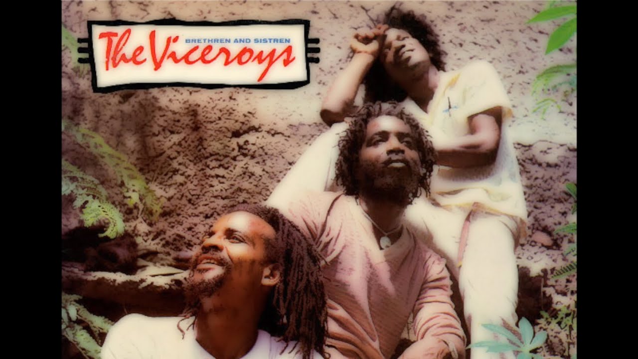 The Viceroys - Time Is Important