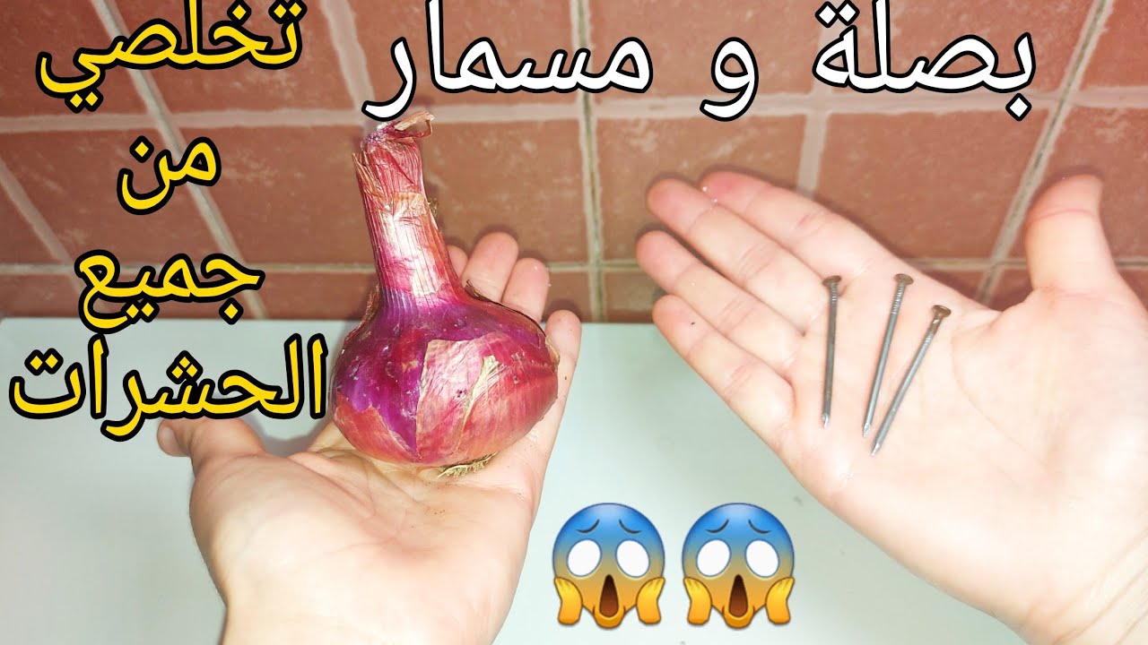 الحل النهائي للصراصير والذباب 🪳🦟 برشة وحدة فقط ✅تلميع اينوكس بدون ماء👌الذ شرمولة دقت فحياتي