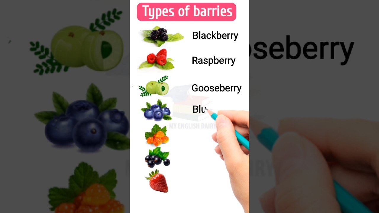 Types of berries 🔥📖💯#english #learn #education #shorts