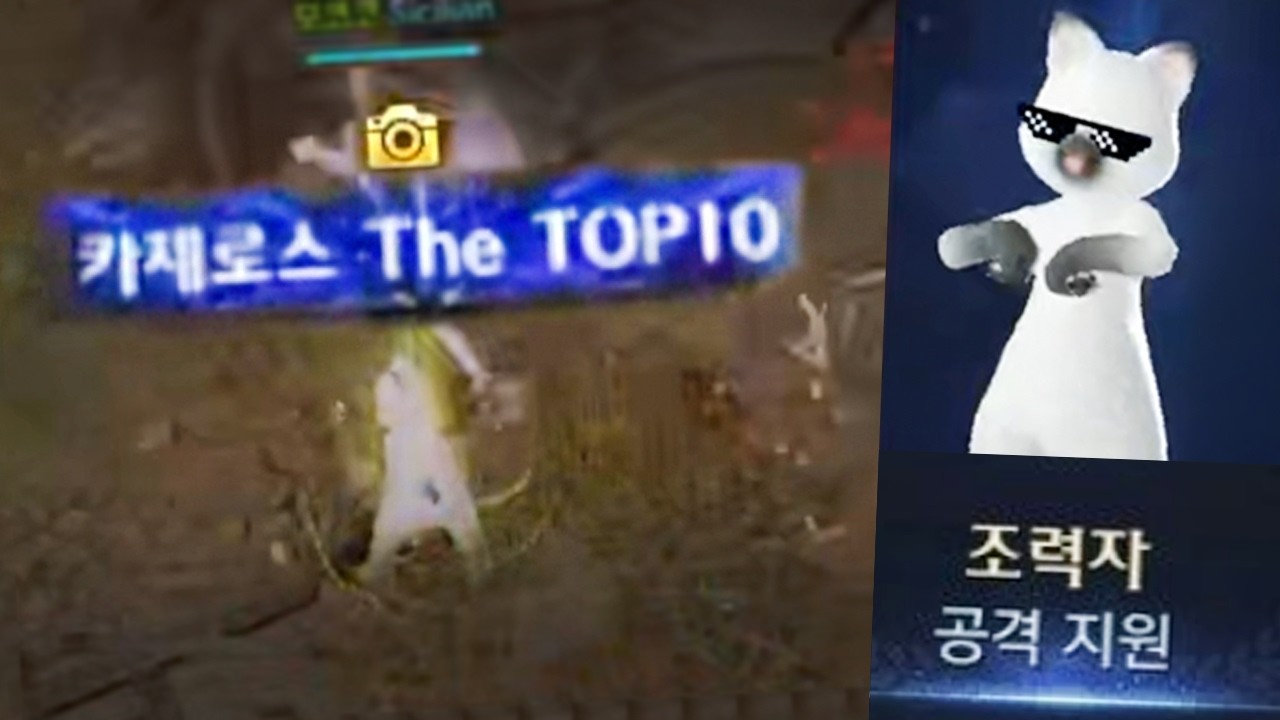 카제로스 TOP 7도 사사게 조력폿이 되는 낙공 물조절 대회ㄷㄷㄷ