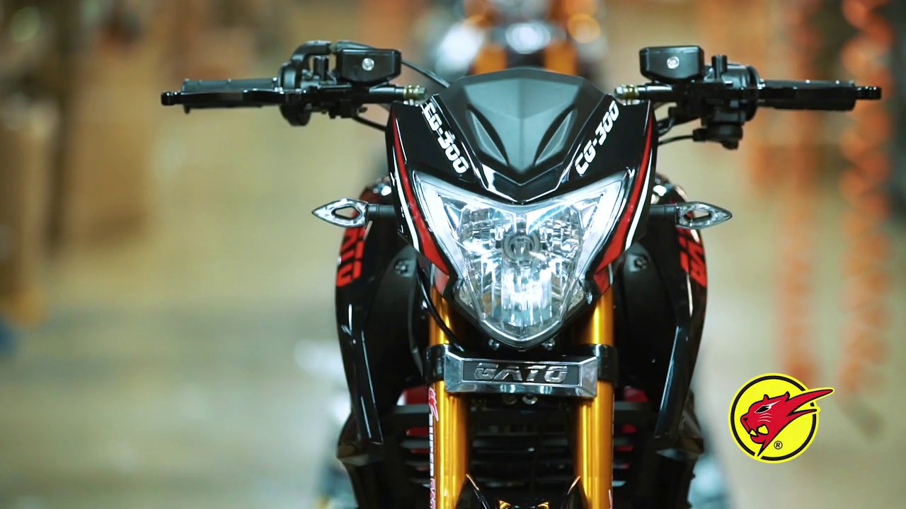 nuevo super gato cg 300