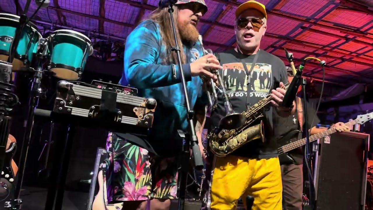 Badfish - 11/23/24