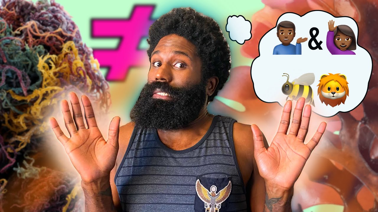These Sea Moss Sellers... They're LYING To You But NOT On Purpose... Let Me EXPLAIN!
