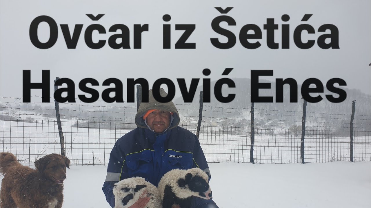 Ovčar Enes Hasanović - Selo Šetići Zvornik