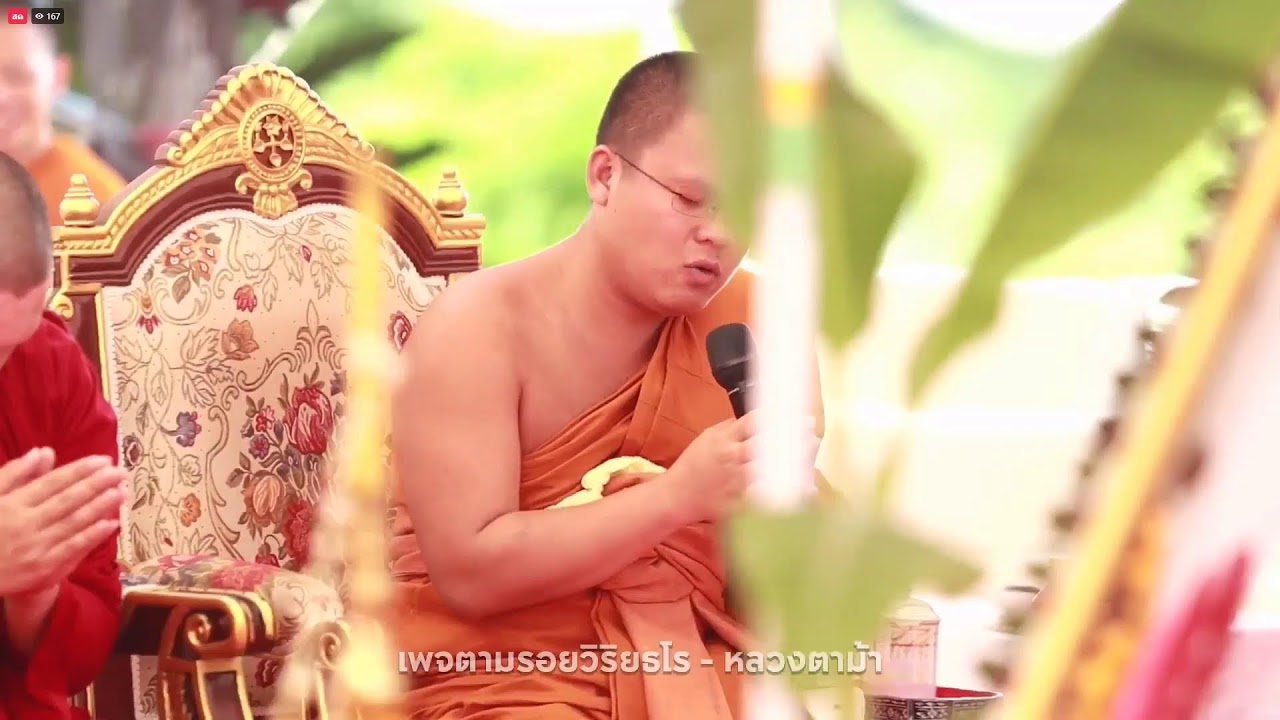 8 มิ.ย. 2567 🔸พิธีสวดมนต์ตั๋นล้านนา📍สถานปฎิบัติธรรมพุทธพรหมปัญโญ(ดู่)สาขาวังเหนือ จังหวัดลำปาง