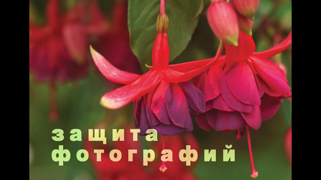 Как подписать фото: простейший способ