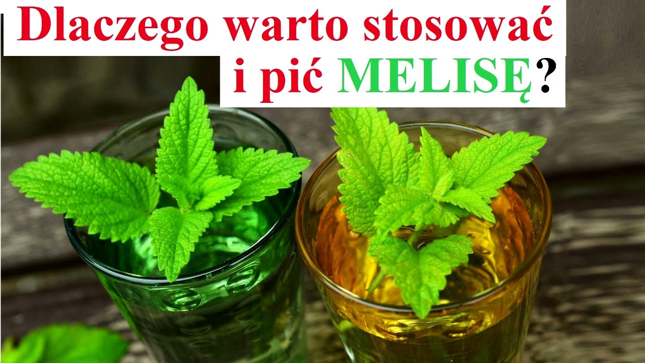 Dlaczego Warto PIĆ i Stosować MELISĘ