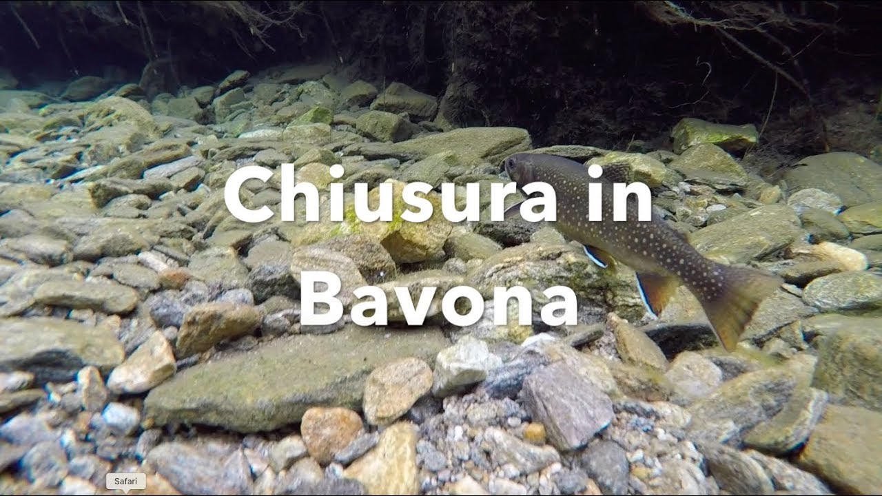 Pesca di trote e salmerini in Ticino