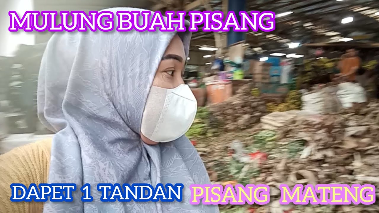 KALI PERTAMANYA DAPET PISANG 1 TANDAN || LANGSUNG AUTO ANGKUTT 😂😂😂😂😂