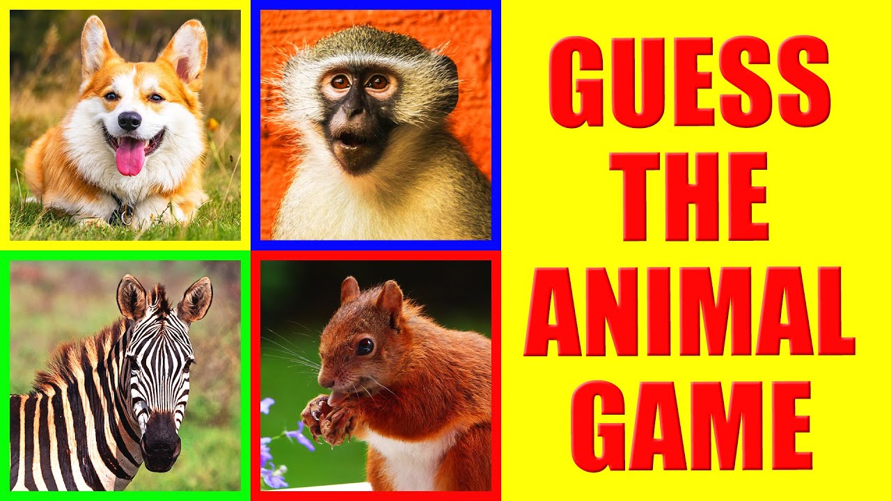Guess the Animal Sound Challenge | Game for Kids, Preschoolers and Kindergarten