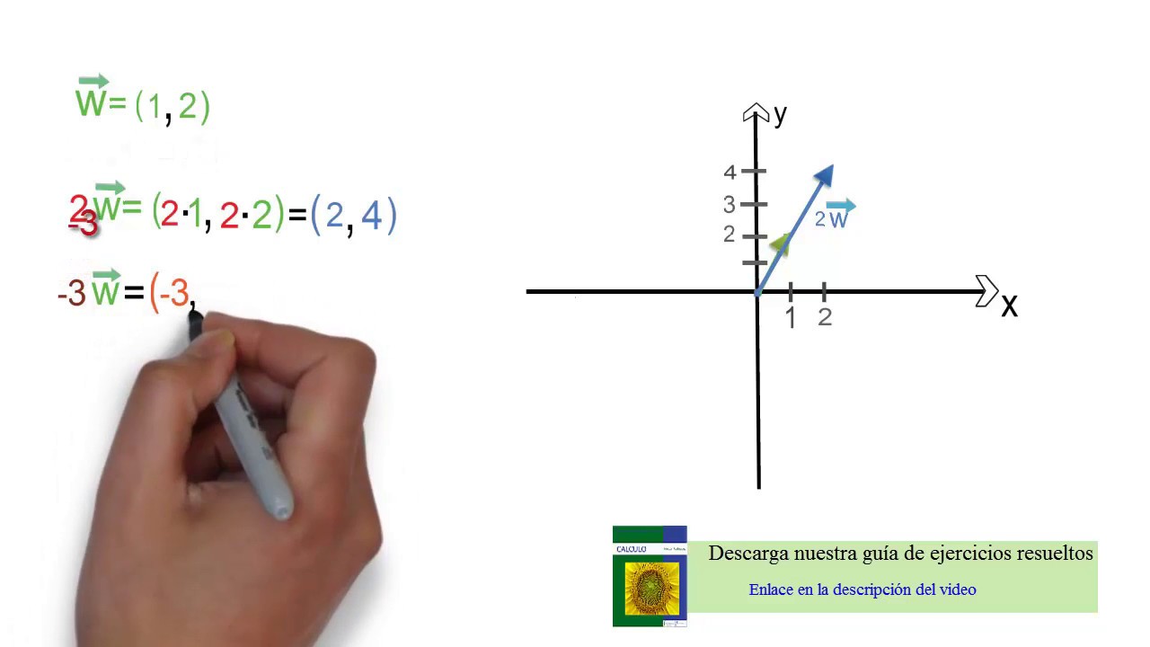 Multiplicación de vectores