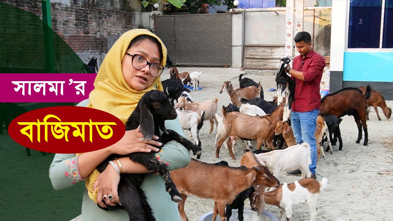 আধুনিক পদ্ধতিতে ছাগল পালনে বাজিমাত - ছাগল মোটাতাজাকরণ পদ্ধতি | Goat farming business || কৃষি ঘর